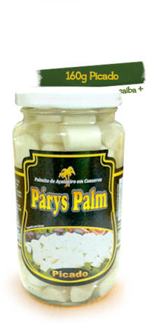 Css Template Preview