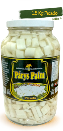 Css Template Preview