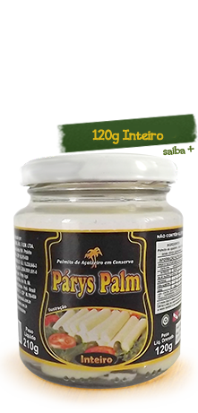 Css Template Preview