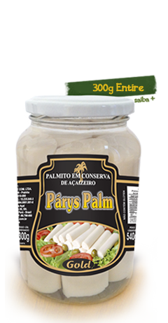 Css Template Preview