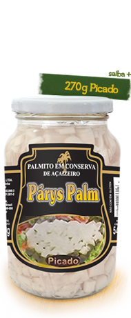 Css Template Preview